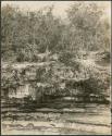 Sacred Cenote, from north