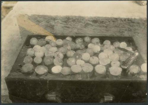 Hail stones at base of Felipe Carrillo's monument