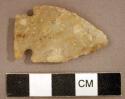 Chipped stone, projectile point, side-notched