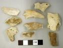 Mammal Bones, incl. 2 teeth