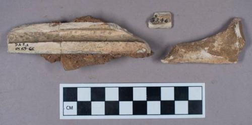 12 gazelle bones, teeth, jaw fragments