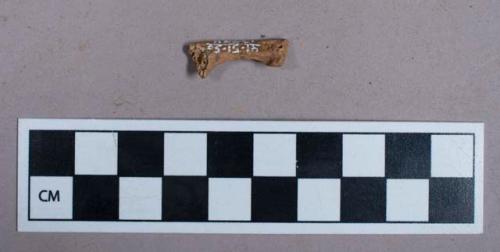 Faunal remains, bone fragment