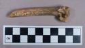 Faunal remains, long bone fragment