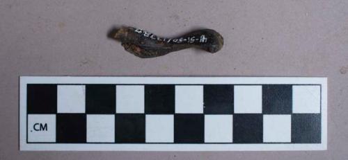 Faunal remains, burnt bone fragment