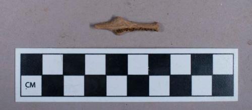 Faunal remains, bone fragment