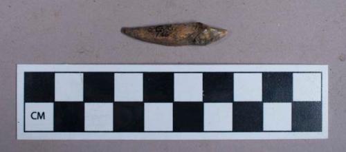 Faunal remains, tooth fragment