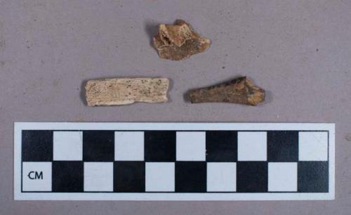 Faunal remains, bone fragments