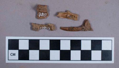 Faunal remains, bone fragments