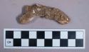 Faunal remains, bone fragment, possible rib