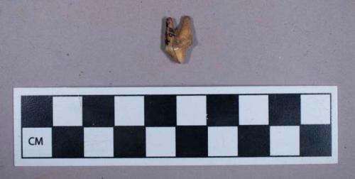 Faunal remains, tooth fragment