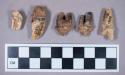 Faunal remains, teeth fragments