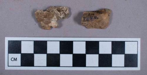 Faunal remains, bone and tooth fragments