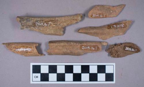 Faunal remains, bone fragments