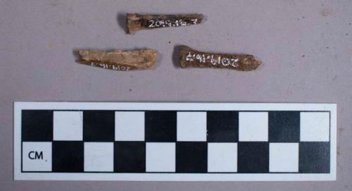 Faunal remains, bone fragments