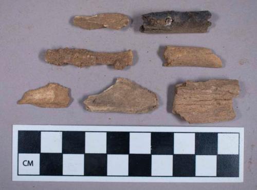 Faunal remains, bone fragments