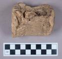 Faunal remains, elephant vertebrae fragment