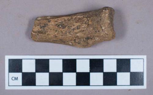 Faunal remain, bovid bone fragment, possible wild ox