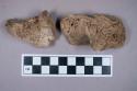 Faunal remains, antelope bone fragments