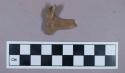 Faunal remains, gazelle bone fragment