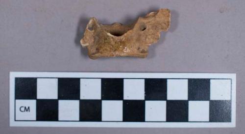 Faunal remains, fox (vulpes ucelpes atlantica) bone fragments