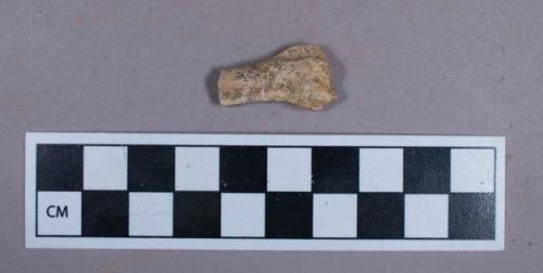 Faunal remain, bone fragments, probably fox