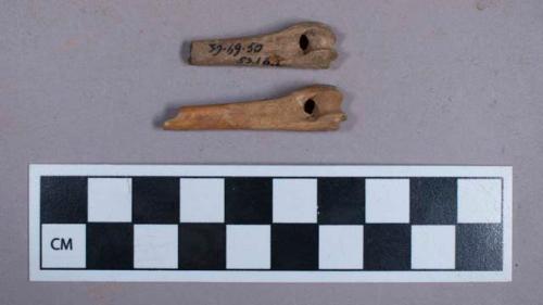 Faunal remains, hare (lepus kabylicus) bone fragments