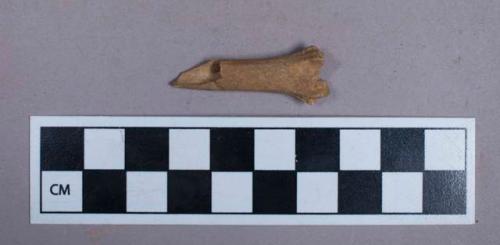 Faunal remains, hare (lepus kabylicus) bone fragment