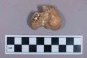 Faunal remain, gazelle (Dorcas gazella) bone fragment