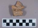 Faunal remains, vertebrae fragment