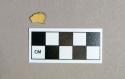 Ceramic, undecorated yellowware body sherd