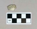 Ceramic, molded and scalloped unidentified refined earthenware rim sherd, burned