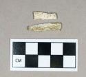 Organic, faunal remains, calcined bone fragments