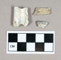 Organic, faunal remains, calcined bone fragments