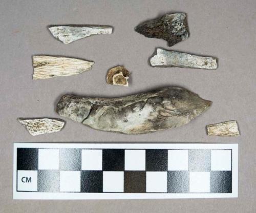 Organic, faunal remains, calcined bone fragments