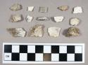 Organic, faunal remains, calcined bone fragments