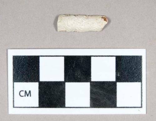 Ceramic, white clay pipe stem fragment with molded design