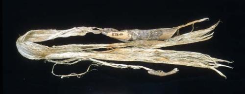 Piece of wood with inner-bark fibers