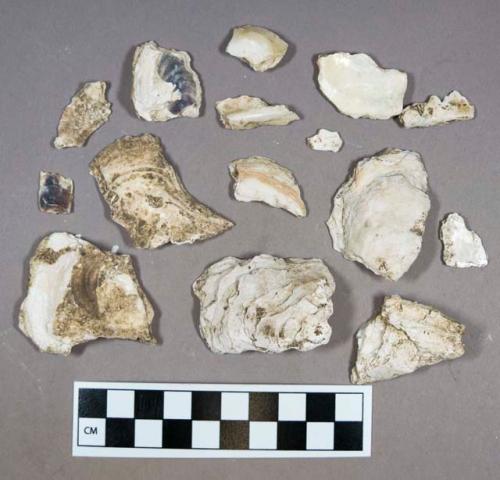 Organic, shell fragments, possibly oyster