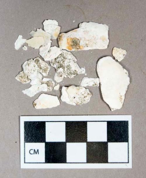 Organic, shell fragments