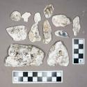 Organic, faunal remains, oyster shell fragments