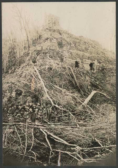 Structure covered by vegetation