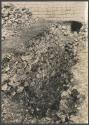 Caracol, trench on east side of lower platform