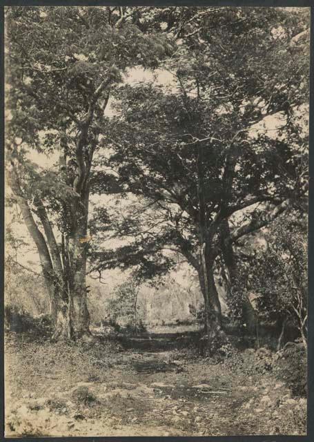 Road, with monuments in background