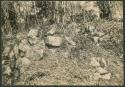 Temple of the Snails, before excavation