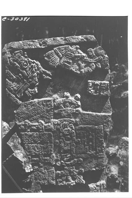 Stela 20. Middle section.