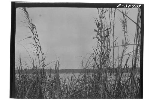 Lake Macaunoc from Shore Line