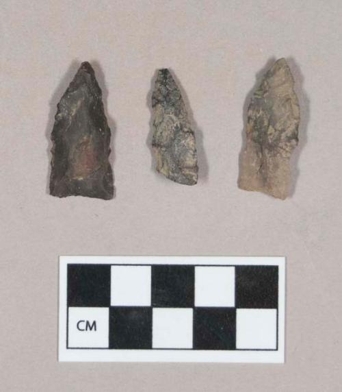 Chipped stone, one bifacial fragment, one triangular projectile point with cortex, one lanceolate projectile point