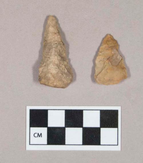 Chipped stone, one triangular projectile point, one biface with cortex