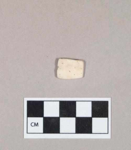 Organic, utilized shell, cut rectangular object