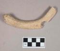 Organic, utilized antler fragment, perforated